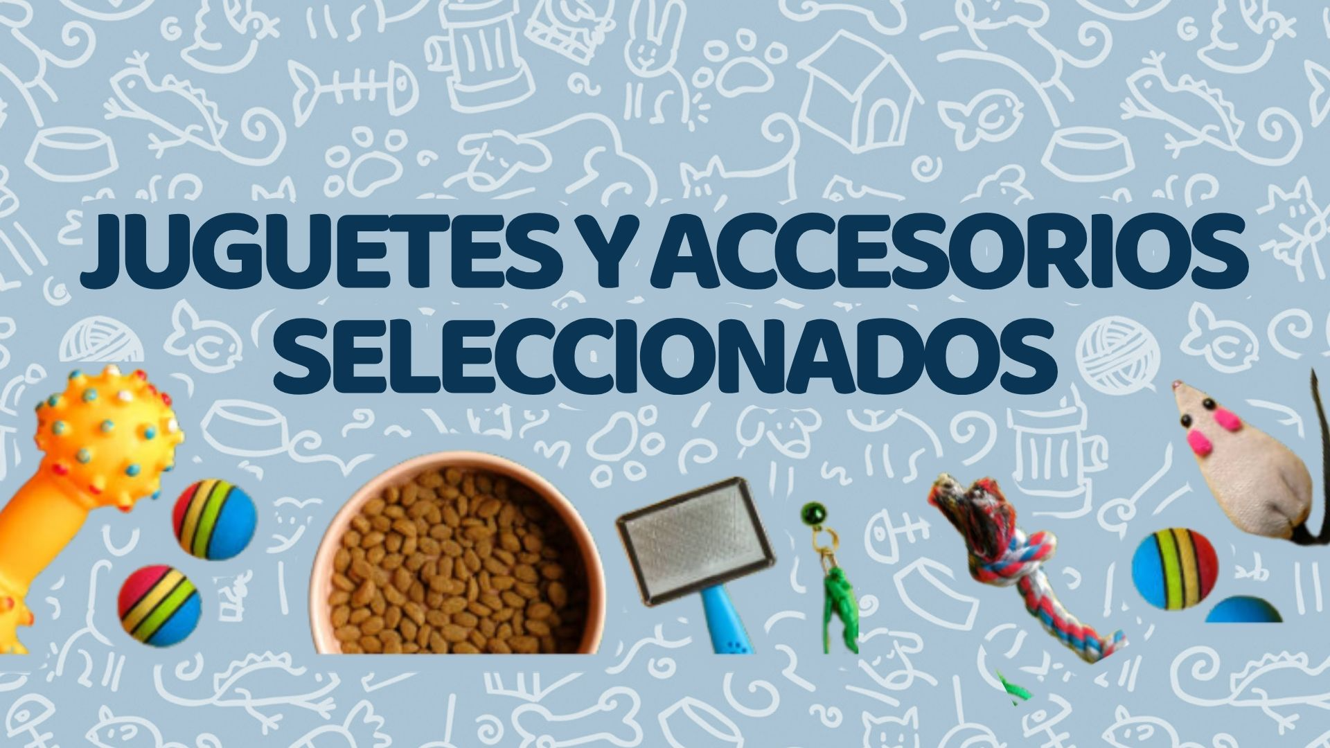 Juguetes y Accesorios Seleccionados