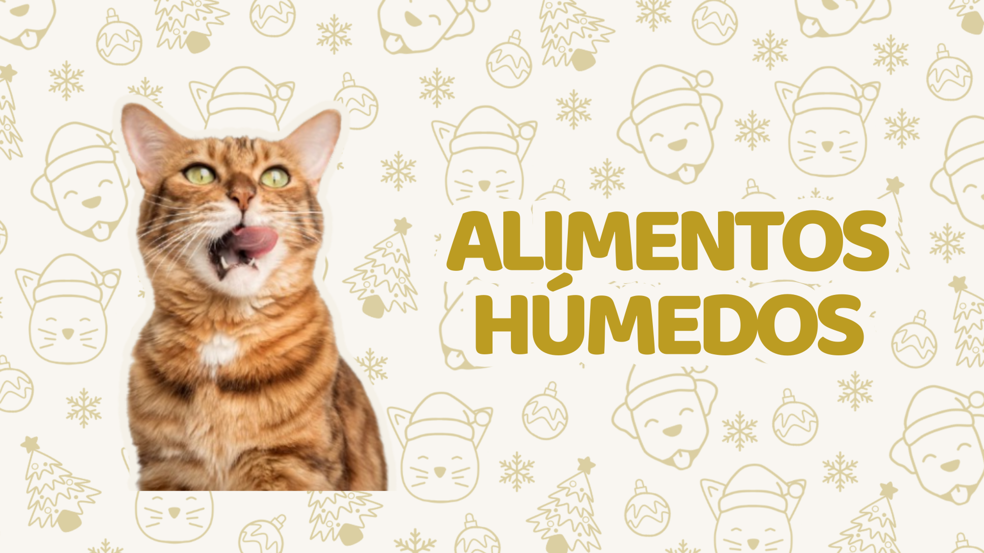 Alimentos Húmedos