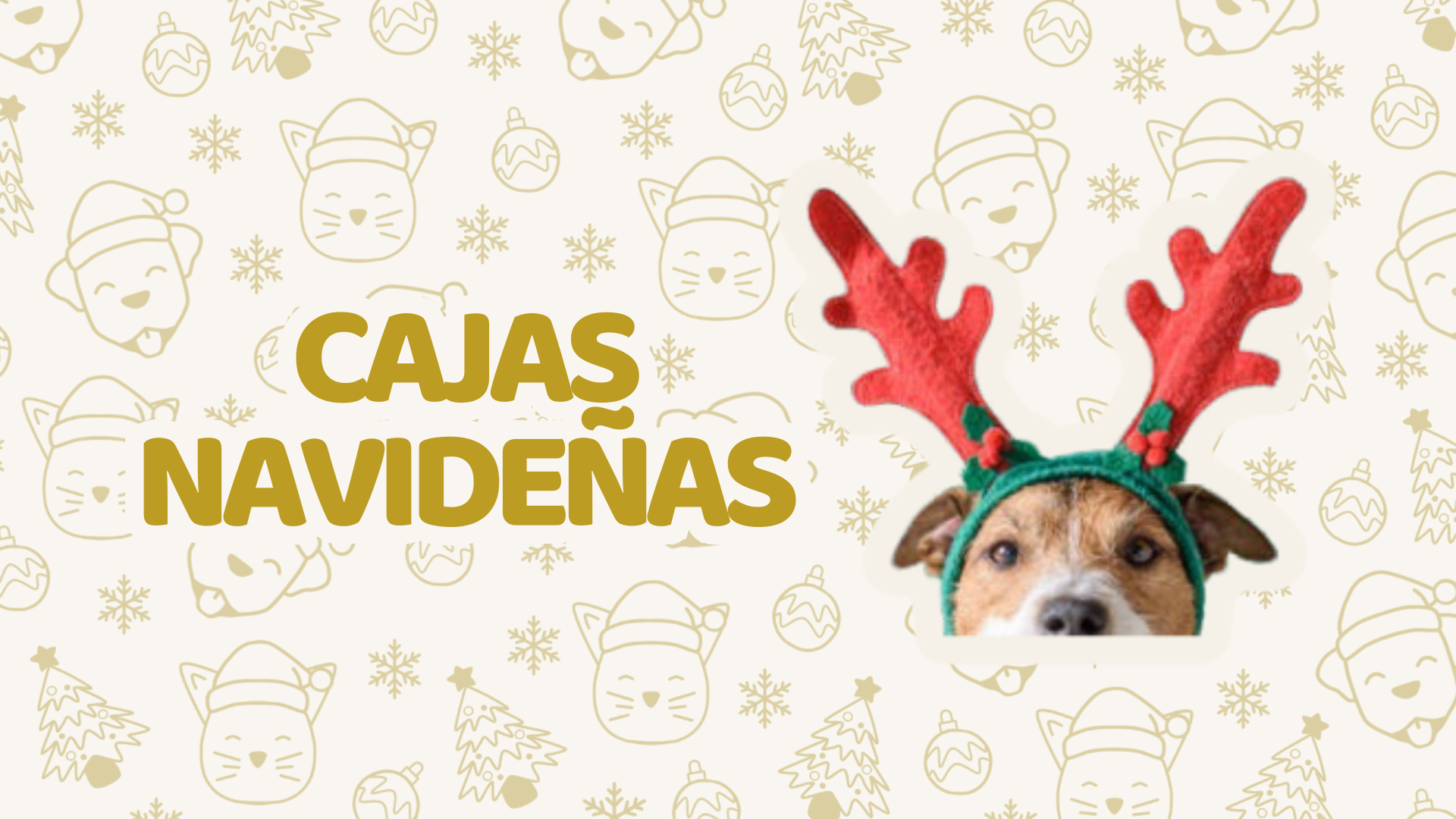 Cajas Navideñas