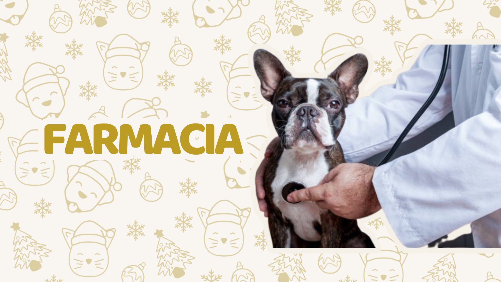 Farmacia