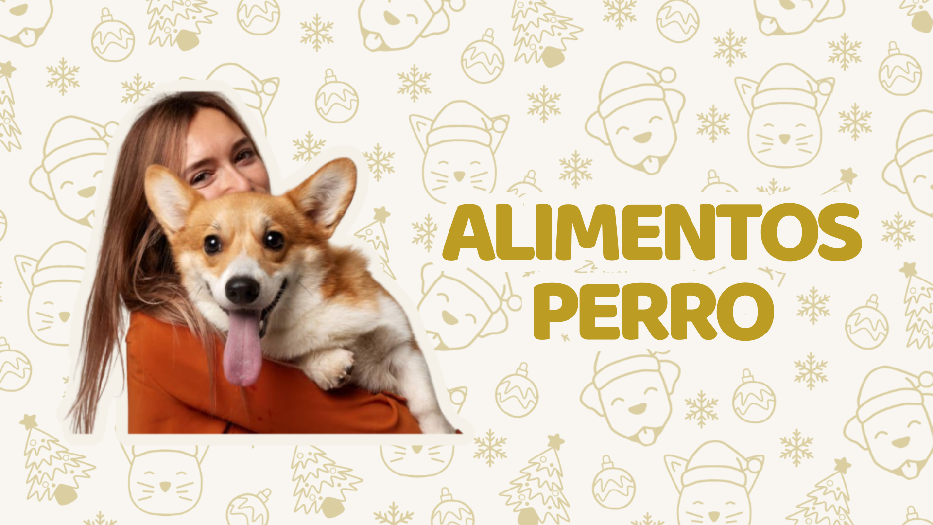 Alimentos Perro