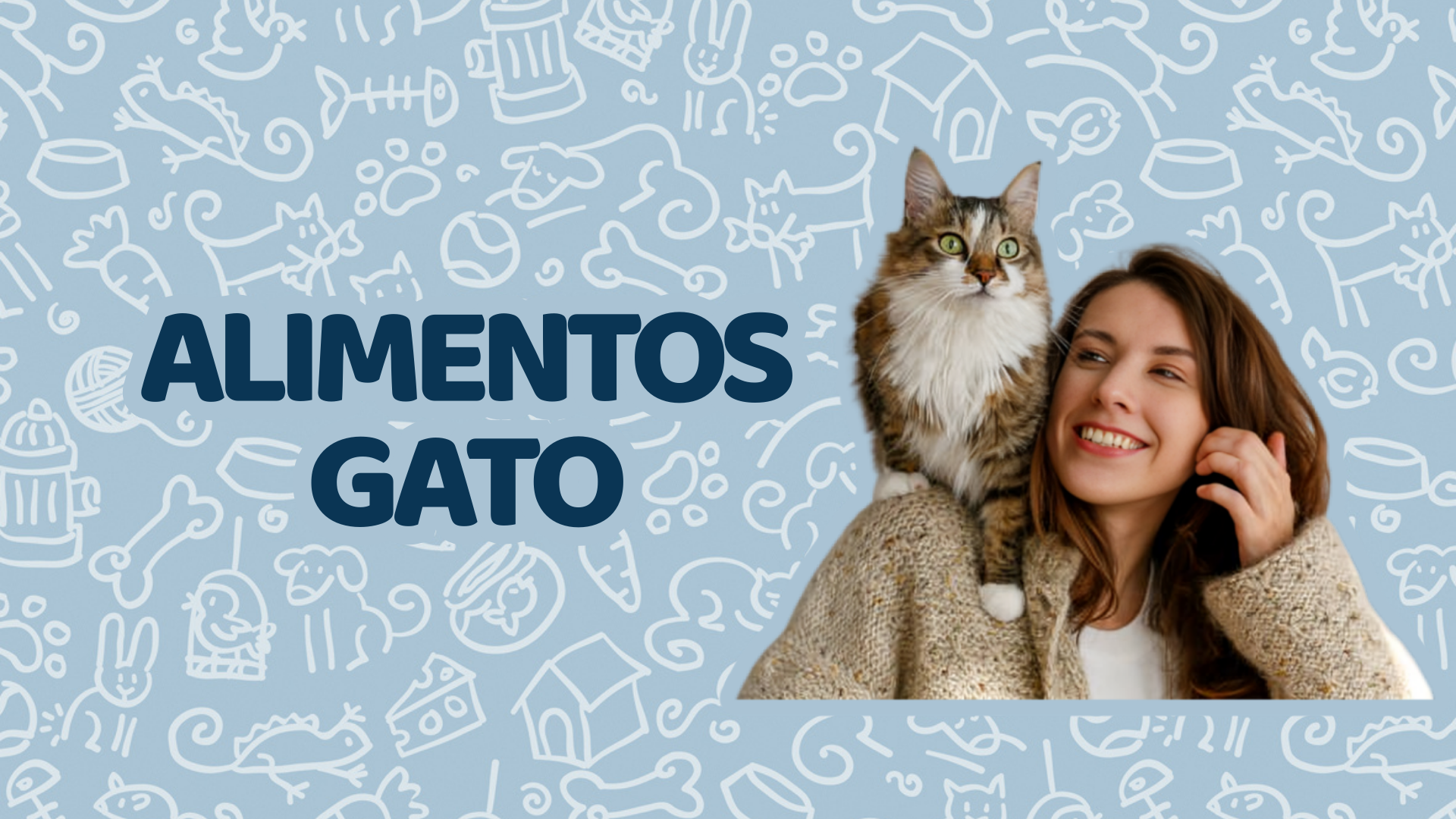 Alimentos Gato