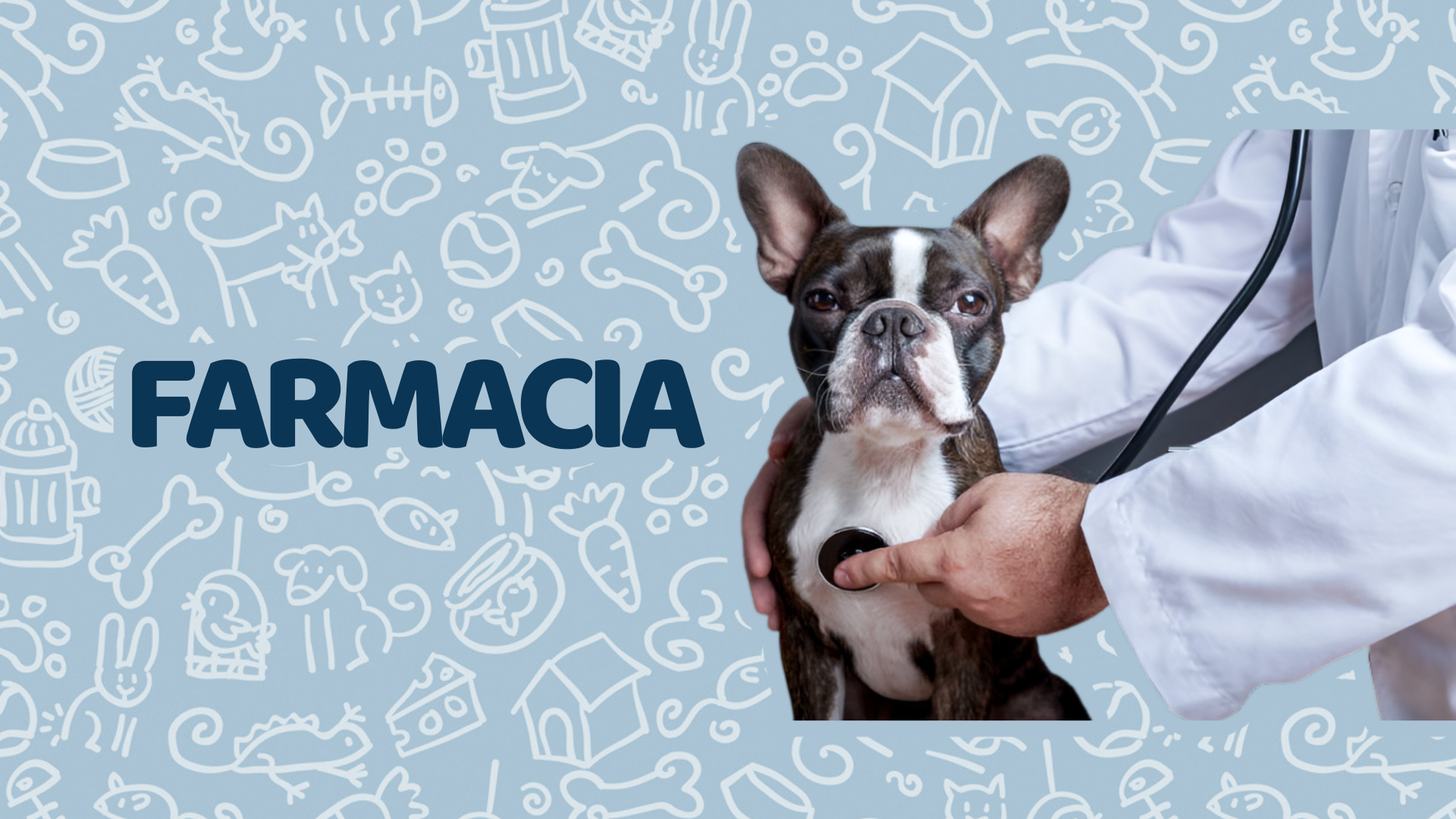Farmacia