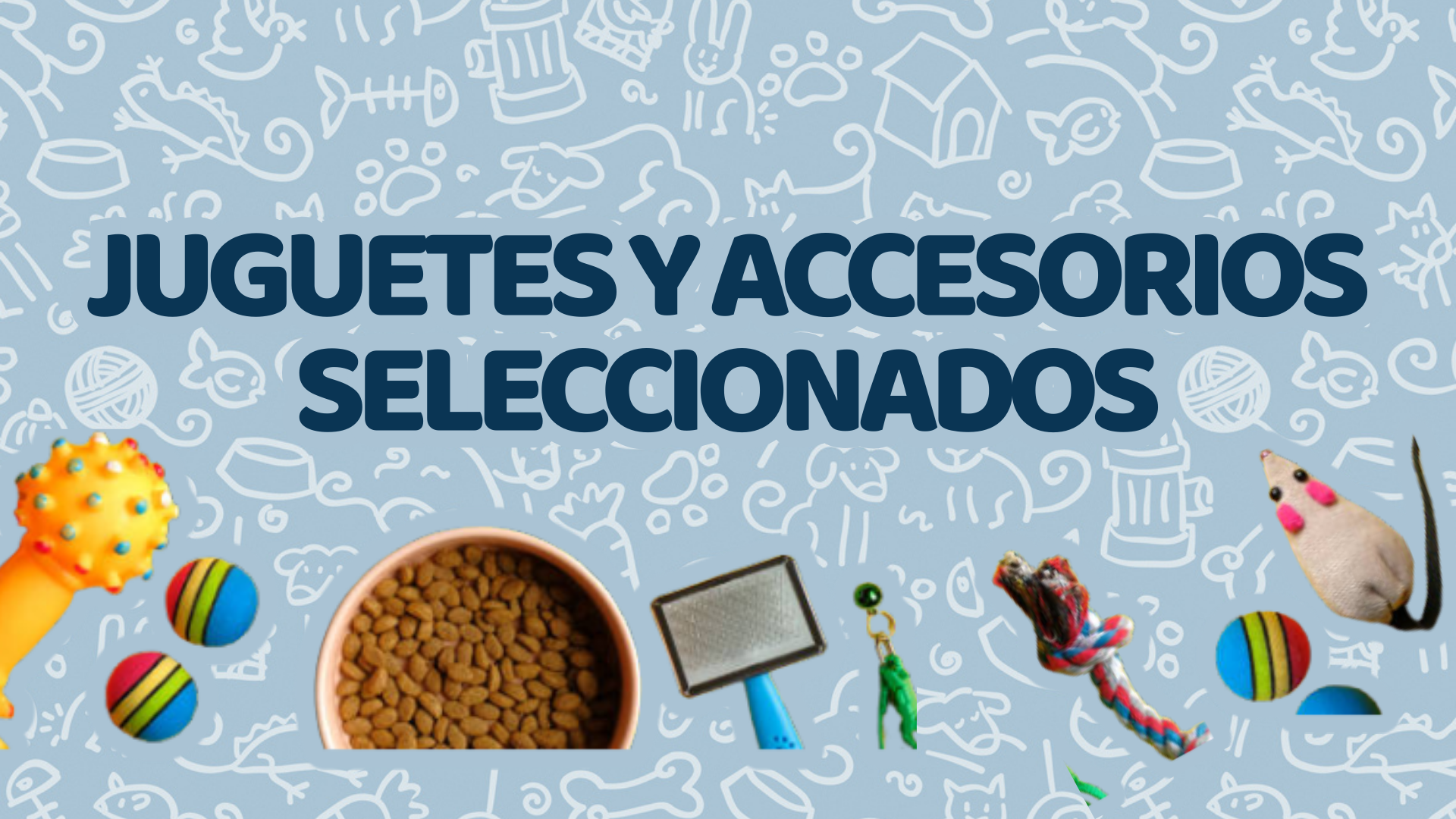 Juguetes y Accesorios Seleccionados