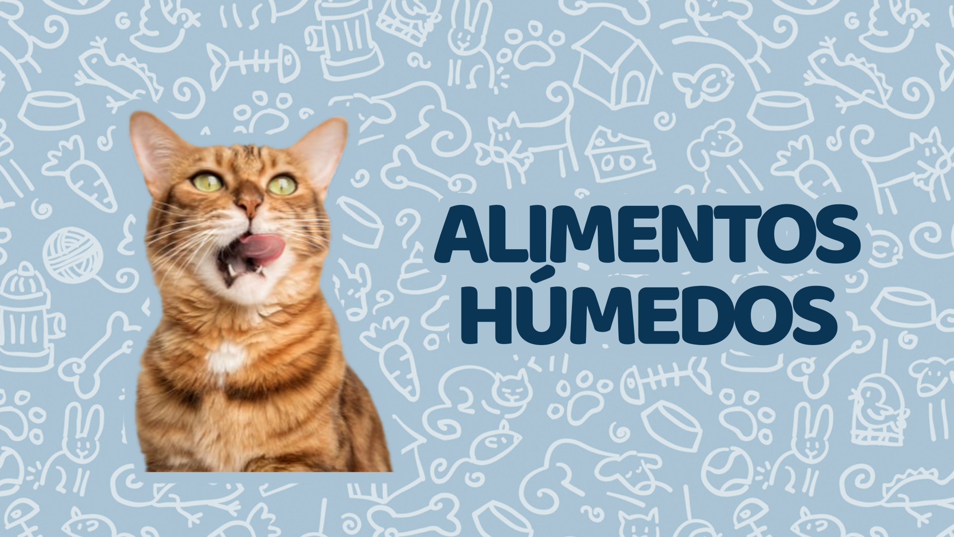 Alimentos Húmedos