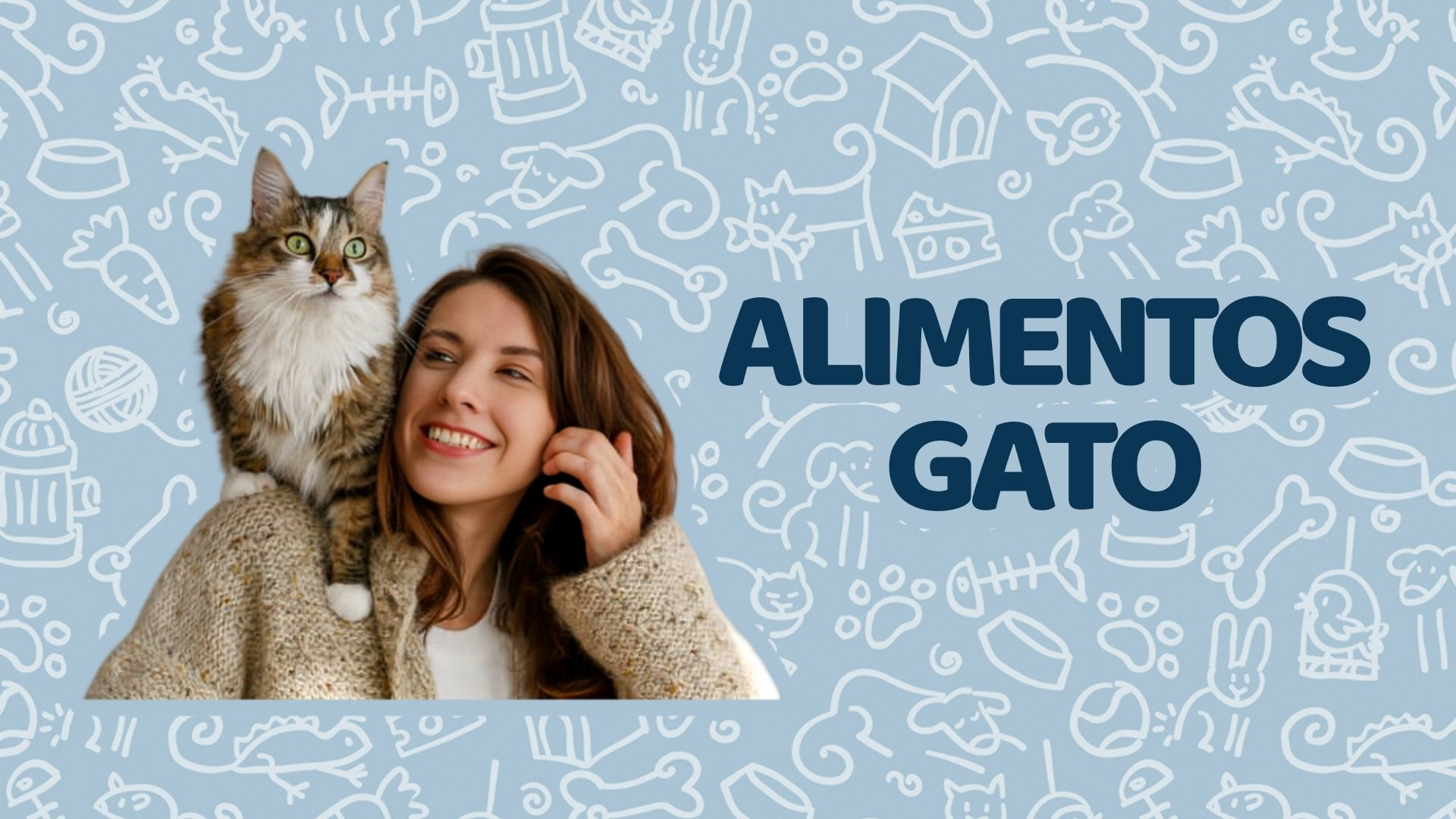 Alimentos Gato