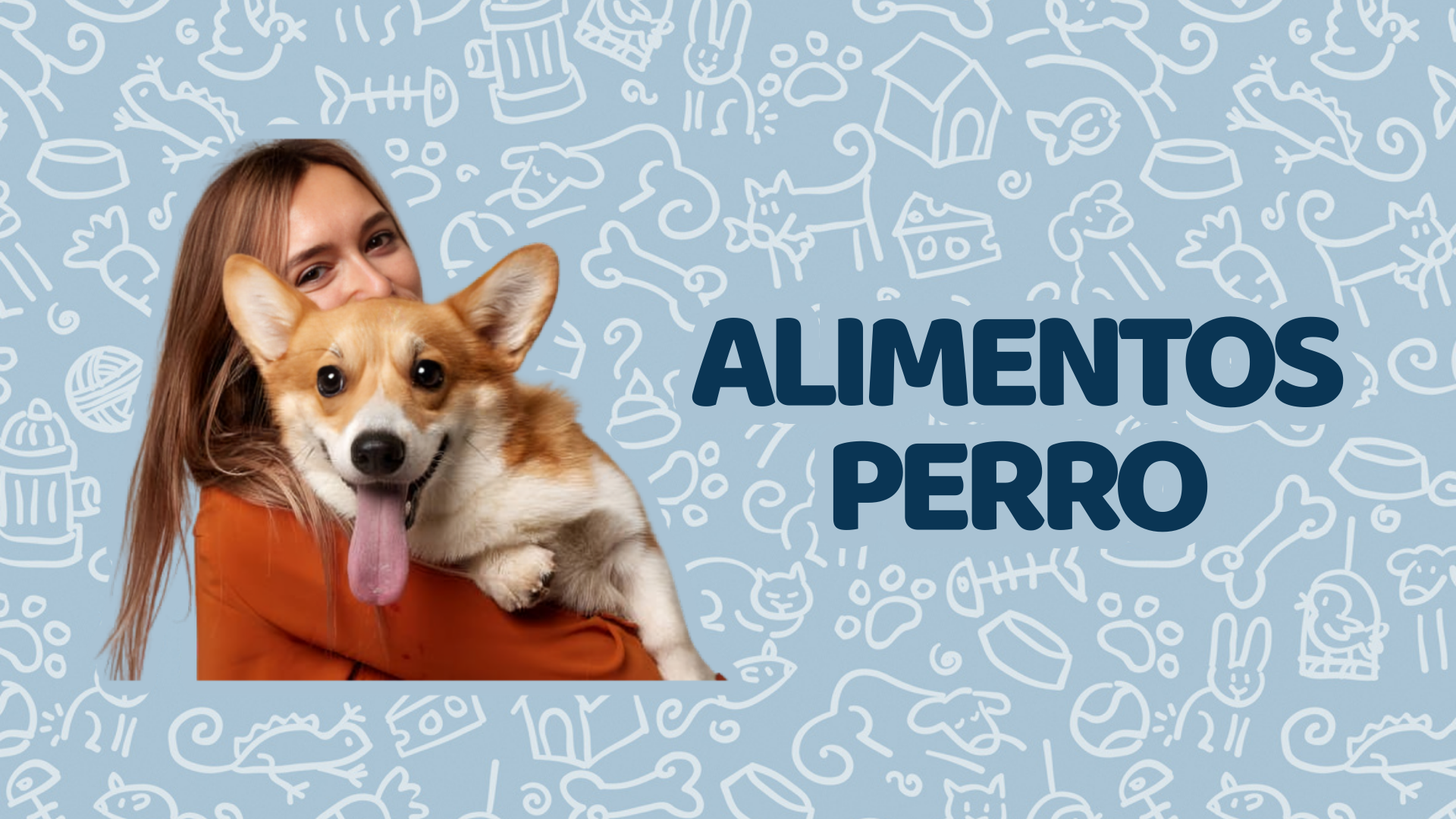 Alimentos Perro