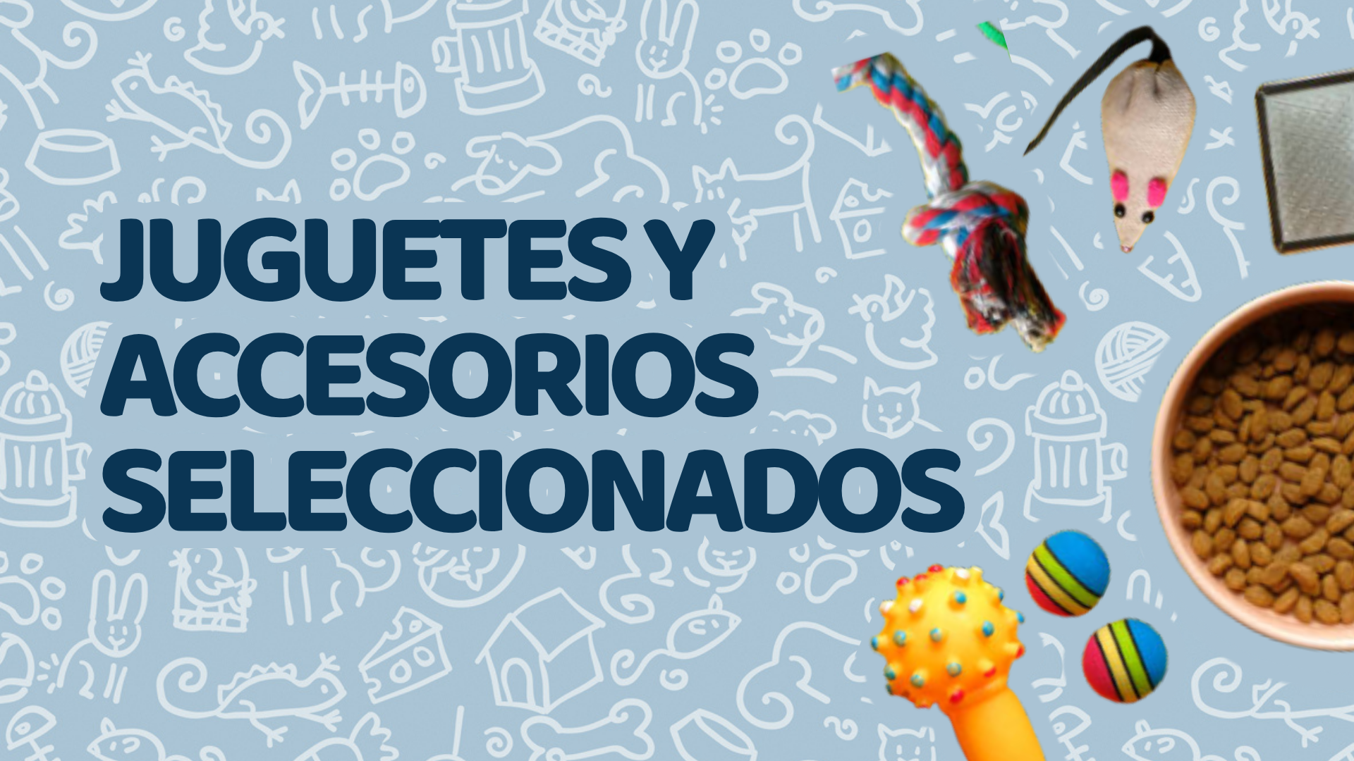 Juguetes y Accesorios Seleccionados