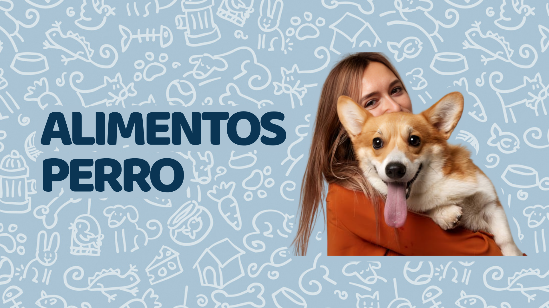 Alimentos Perro