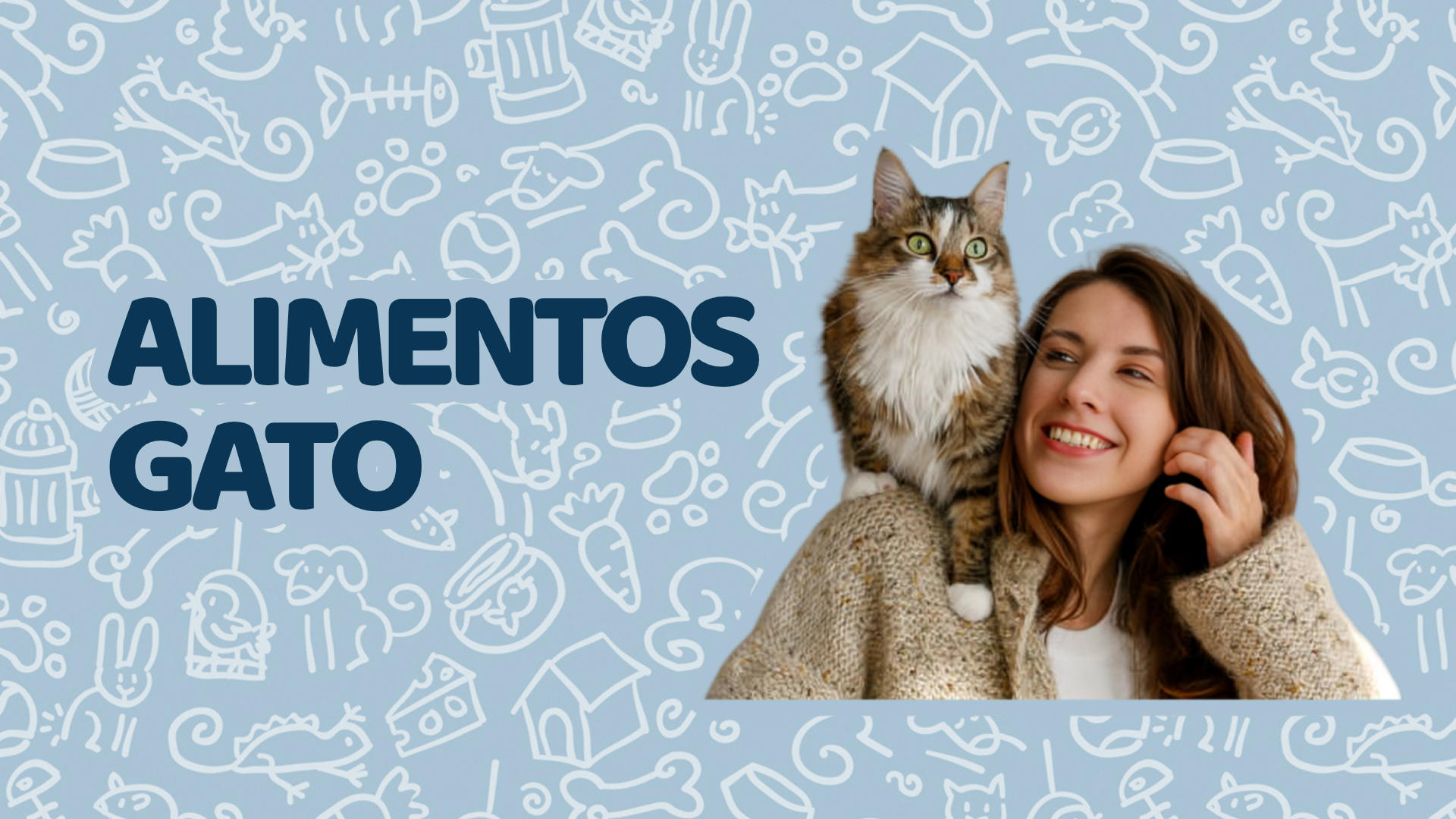 Alimentos Gato