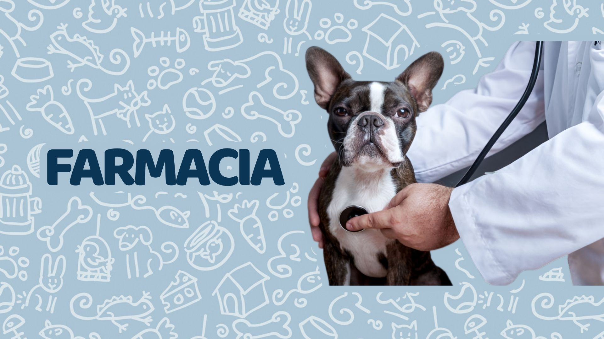 Farmacia