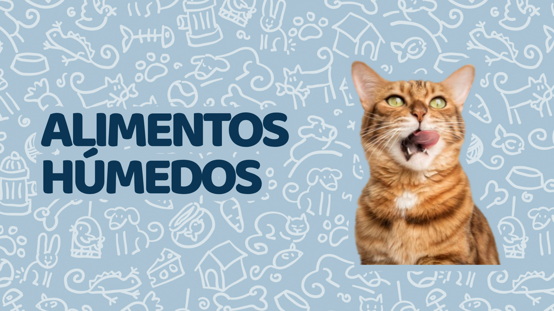 Alimentos Húmedos