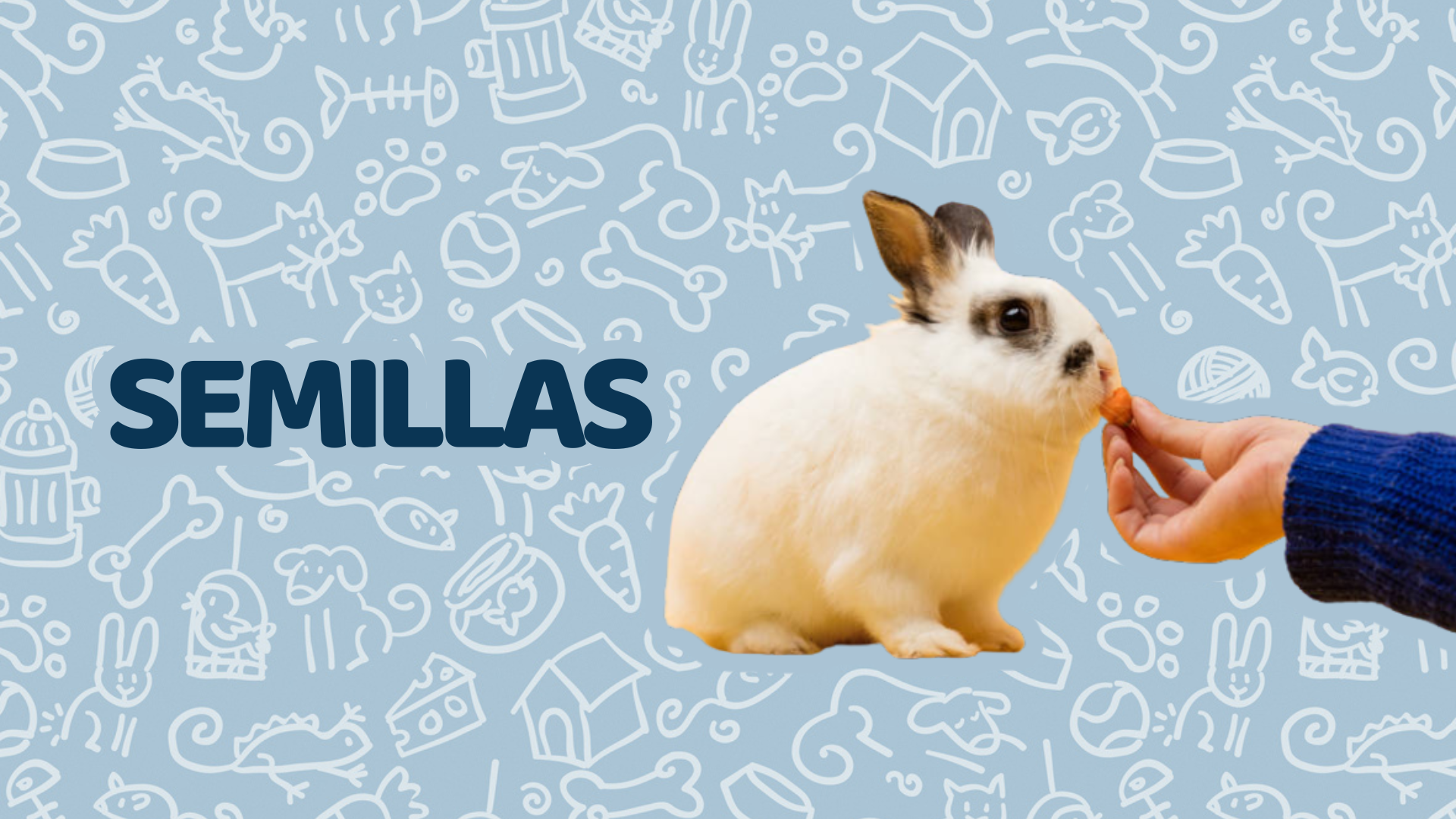 Semillas