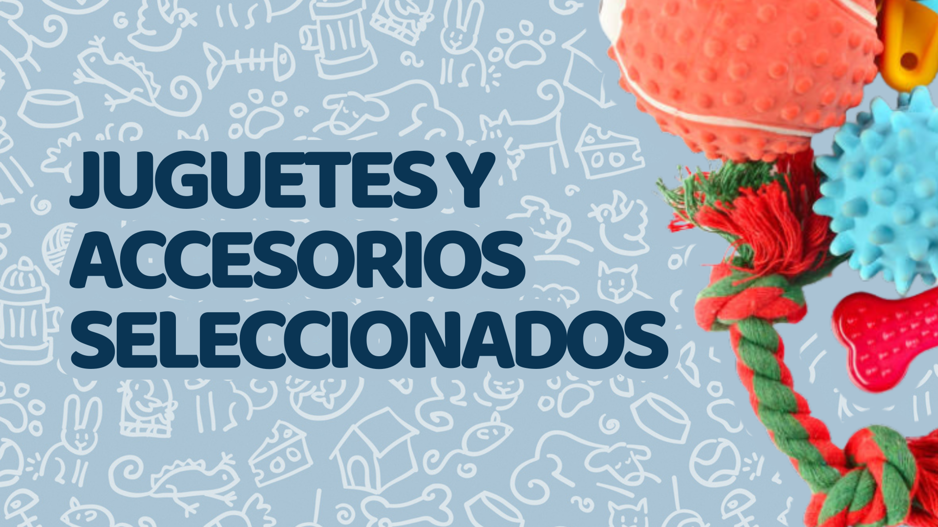 Juguetes y Accesorios Seleccionados