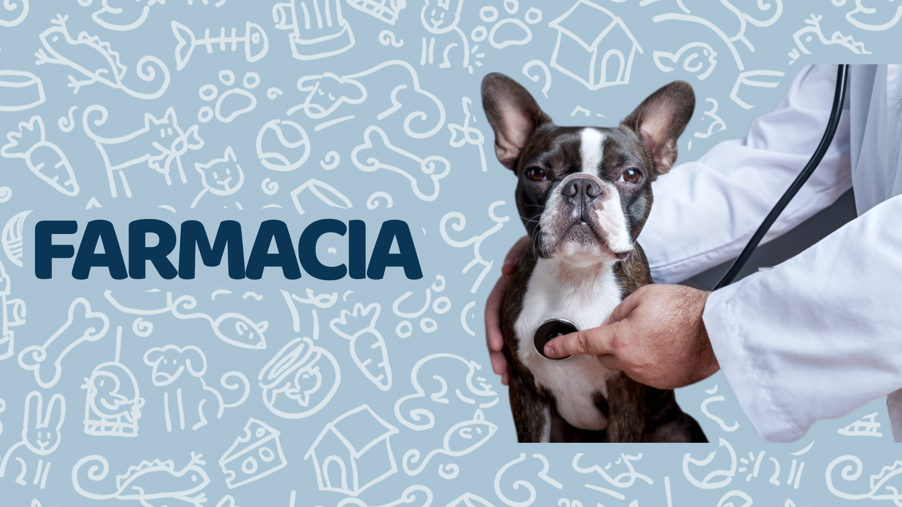 Farmacia