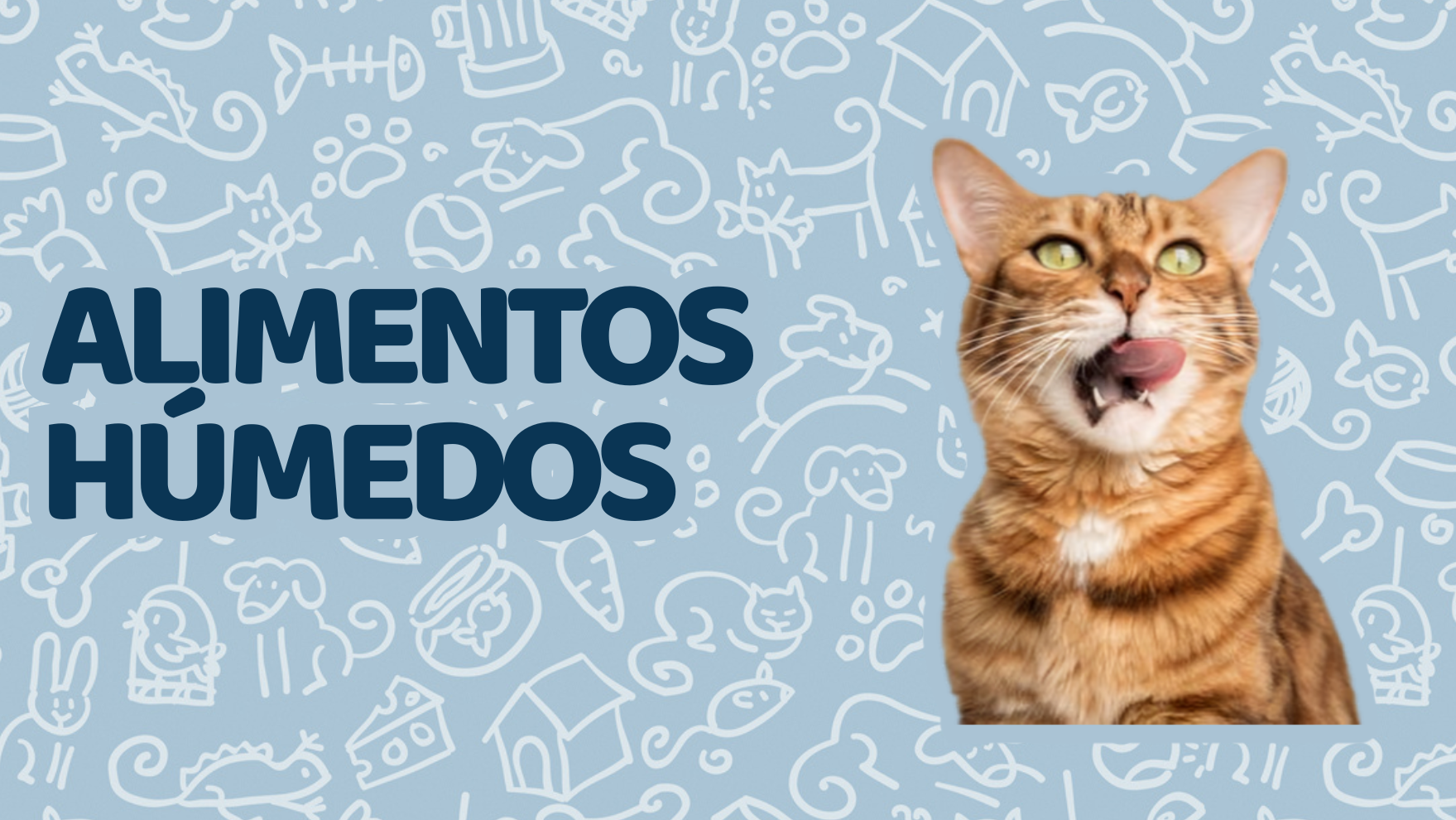 Alimentos Húmedos