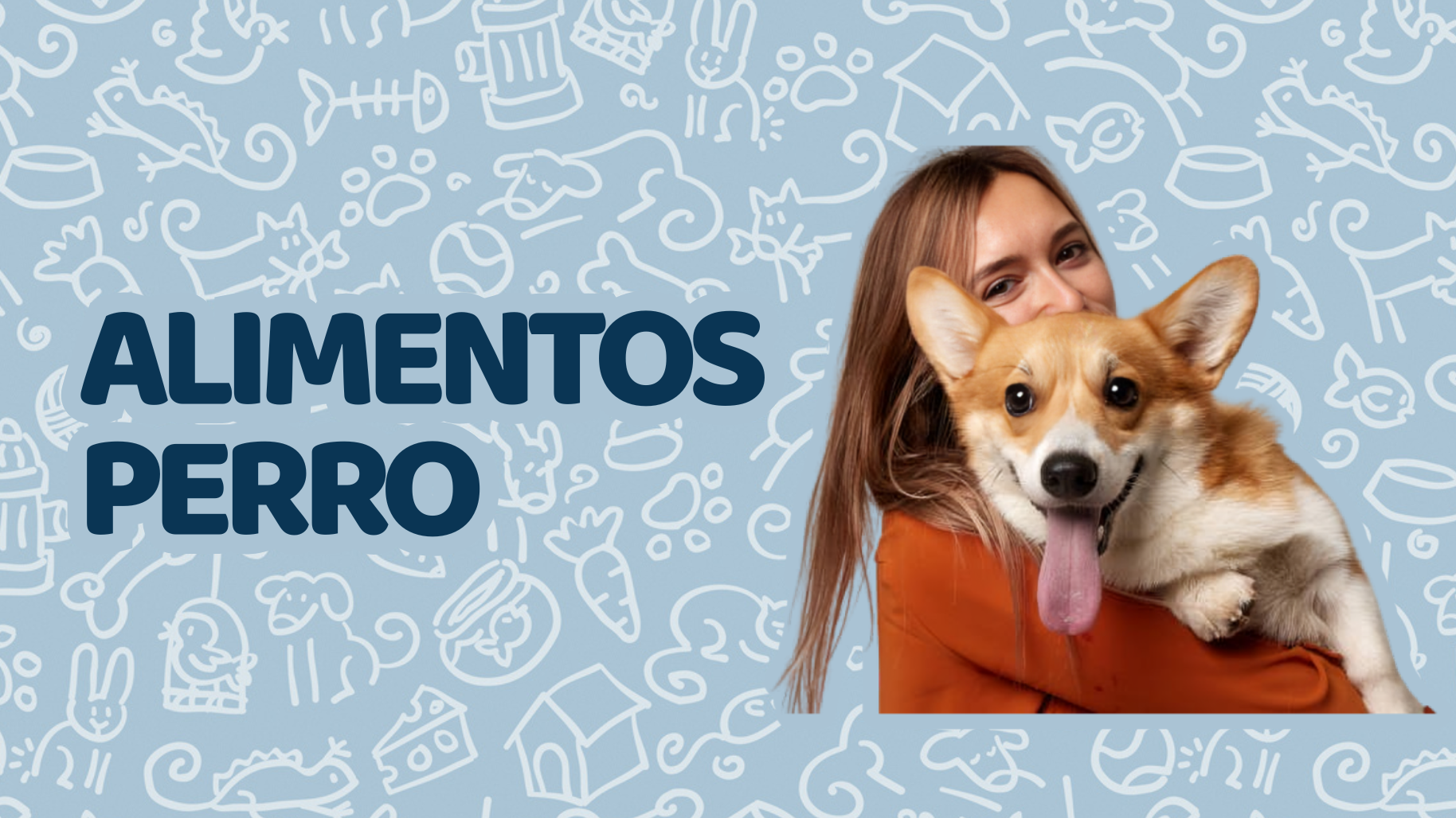 Alimentos Perro