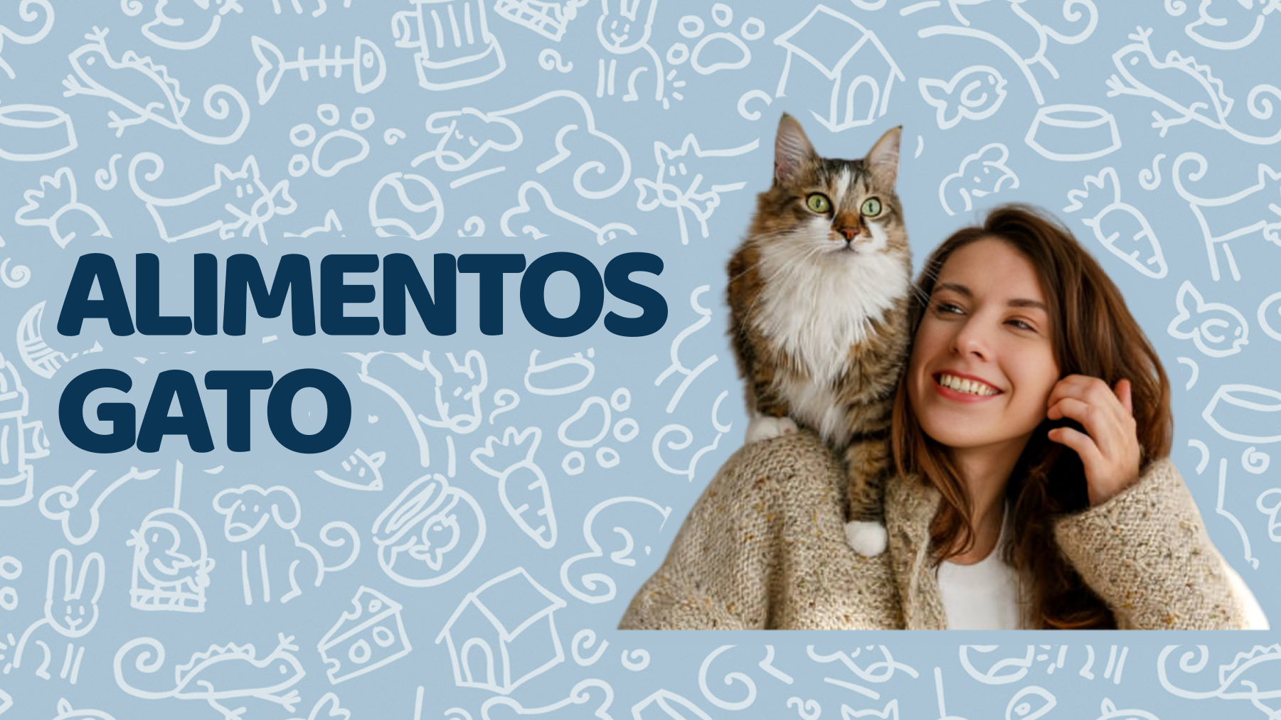 Alimentos Gato