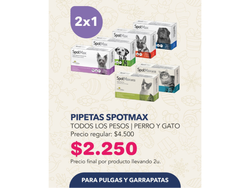 2X1 PIPETAS SPOTMAX
