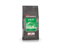 ROYAL CANIN PERFORMANCE ADULTO 1KG