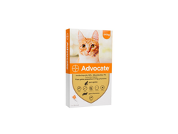 ADVOCATE GATO -4KG