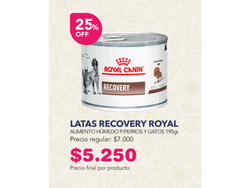 LATAS RECOVERY ROYAL 25% OFF