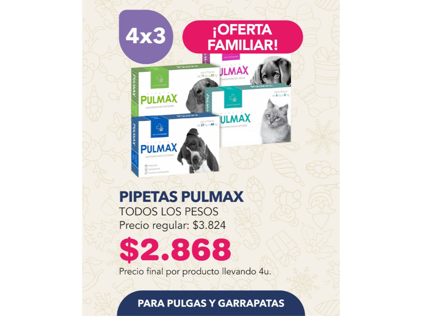 4X3 PIPETAS PULMAX