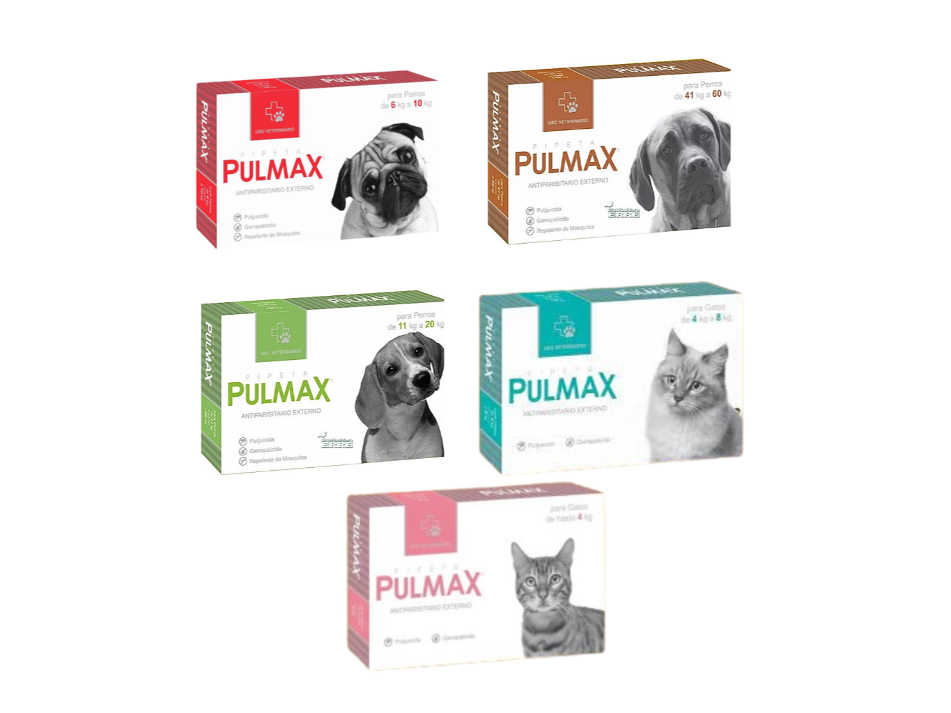 PIPETAS PULMAX 2X $6.500