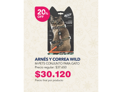 ARNÉS Y CORREA WILD