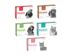 PIPETAS PULMAX 2X $6.500