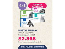 4X3 PIPETAS PULMAX