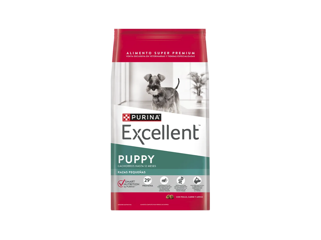 EXCELLENT PUPPY PEQUEÑO