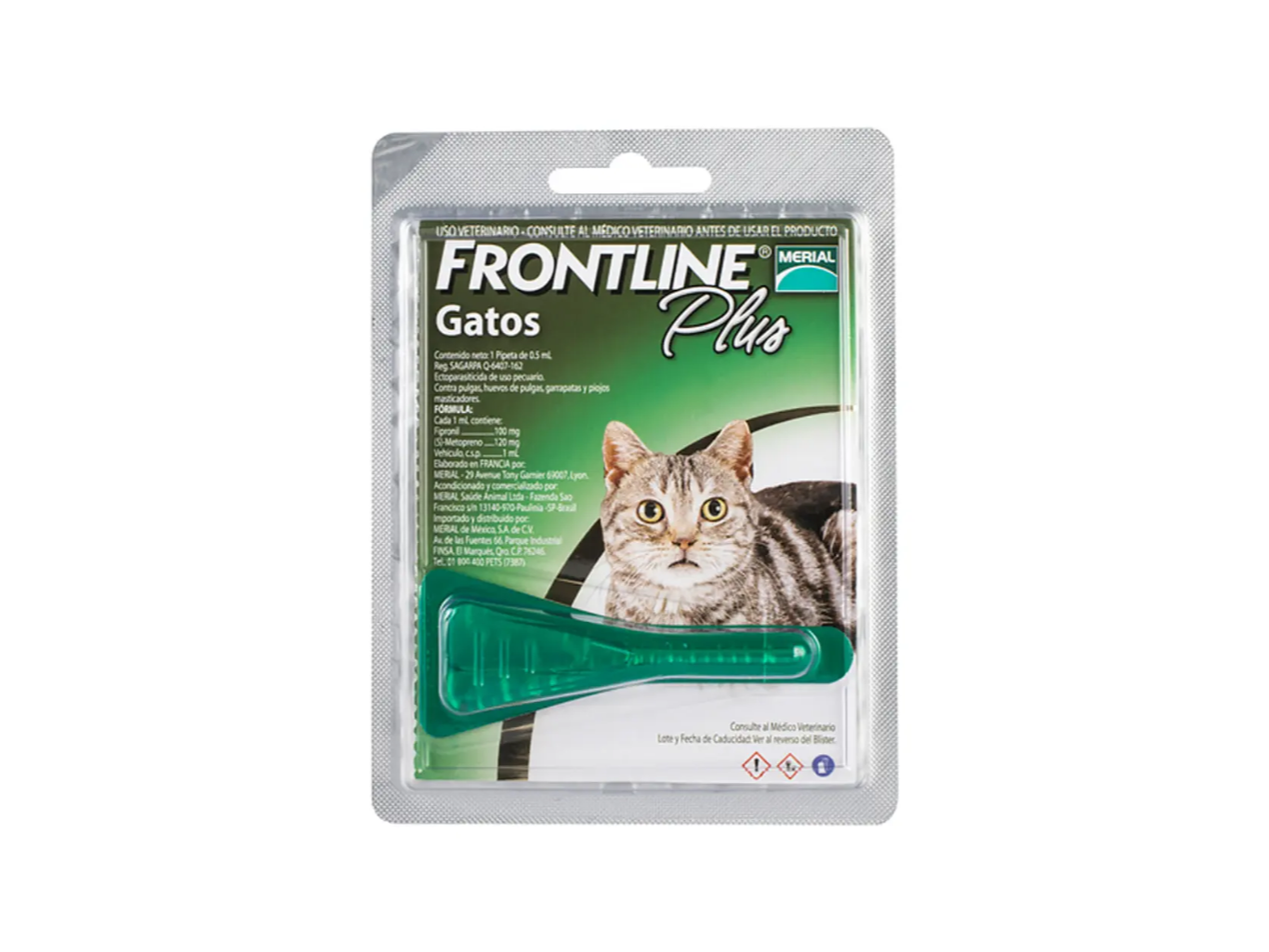 FRONTLINE PLUS PIPETA GATO