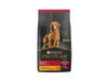PROPLAN ADULTO PERRO MEDIANO