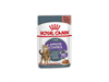 POUCH ROYAL CAT APPETITE 85GR