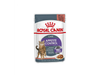 POUCH ROYAL CAT APPETITE 85GR