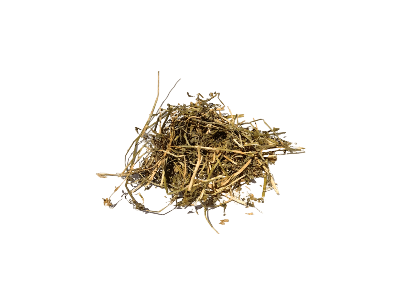 ALFALFA HEBRAS