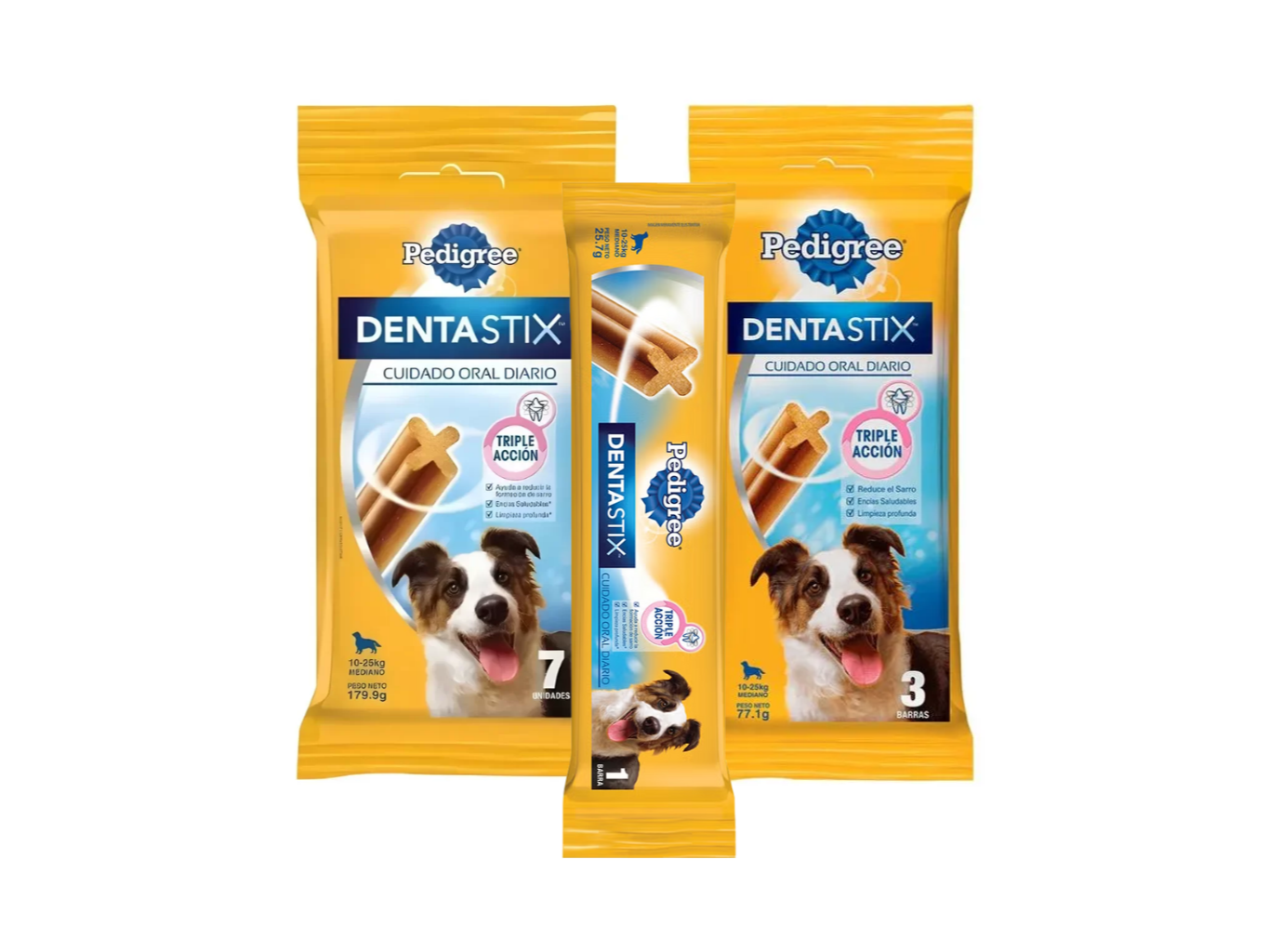 DENTASTIX RAZA MEDIANA 10-25KG