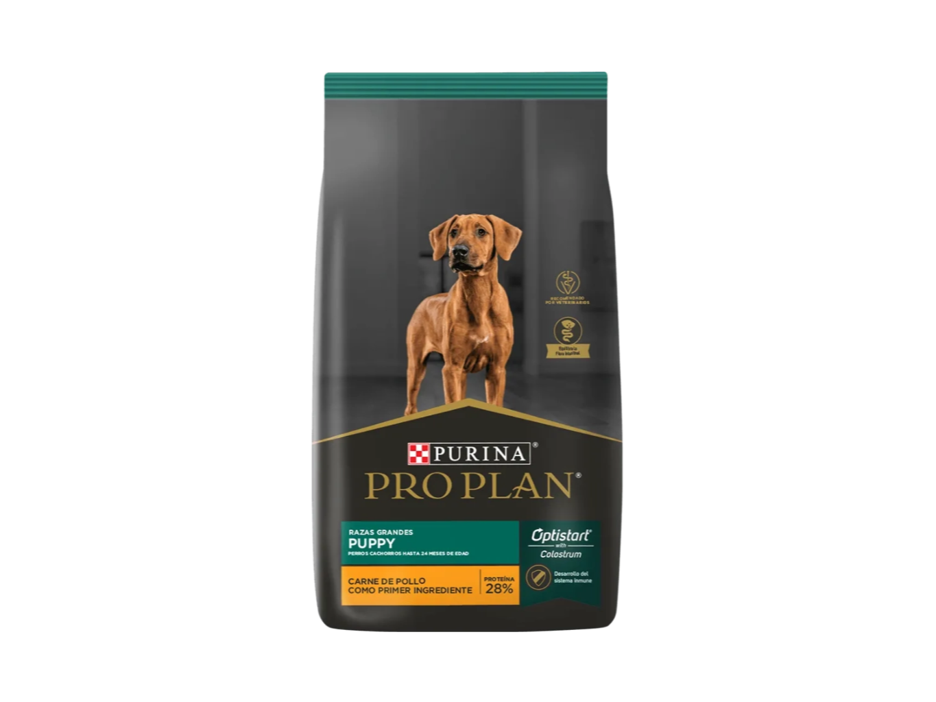 PROPLAN CACHORRO GRANDE