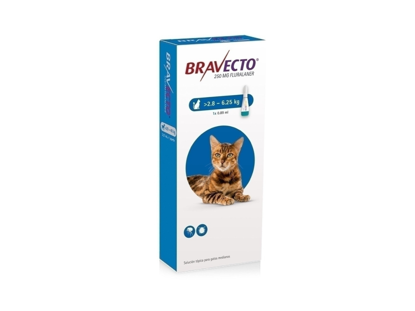 BRAVECTO GATO 2,8/6,25KG