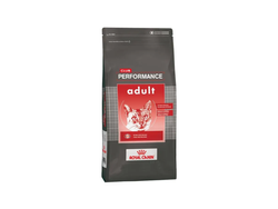 ROYAL CANIN PERFORMANCE CAT