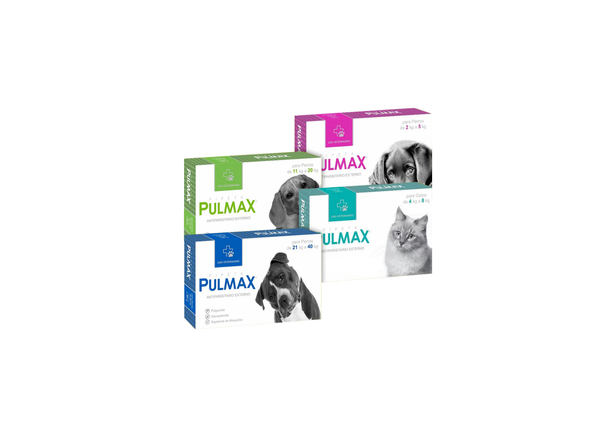 PIPETAS PULMAX 4x3