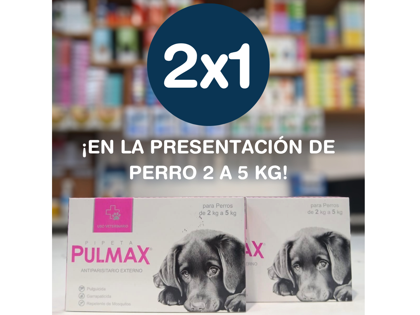 2X1 EN PULMAX DE 2 A 5 KG