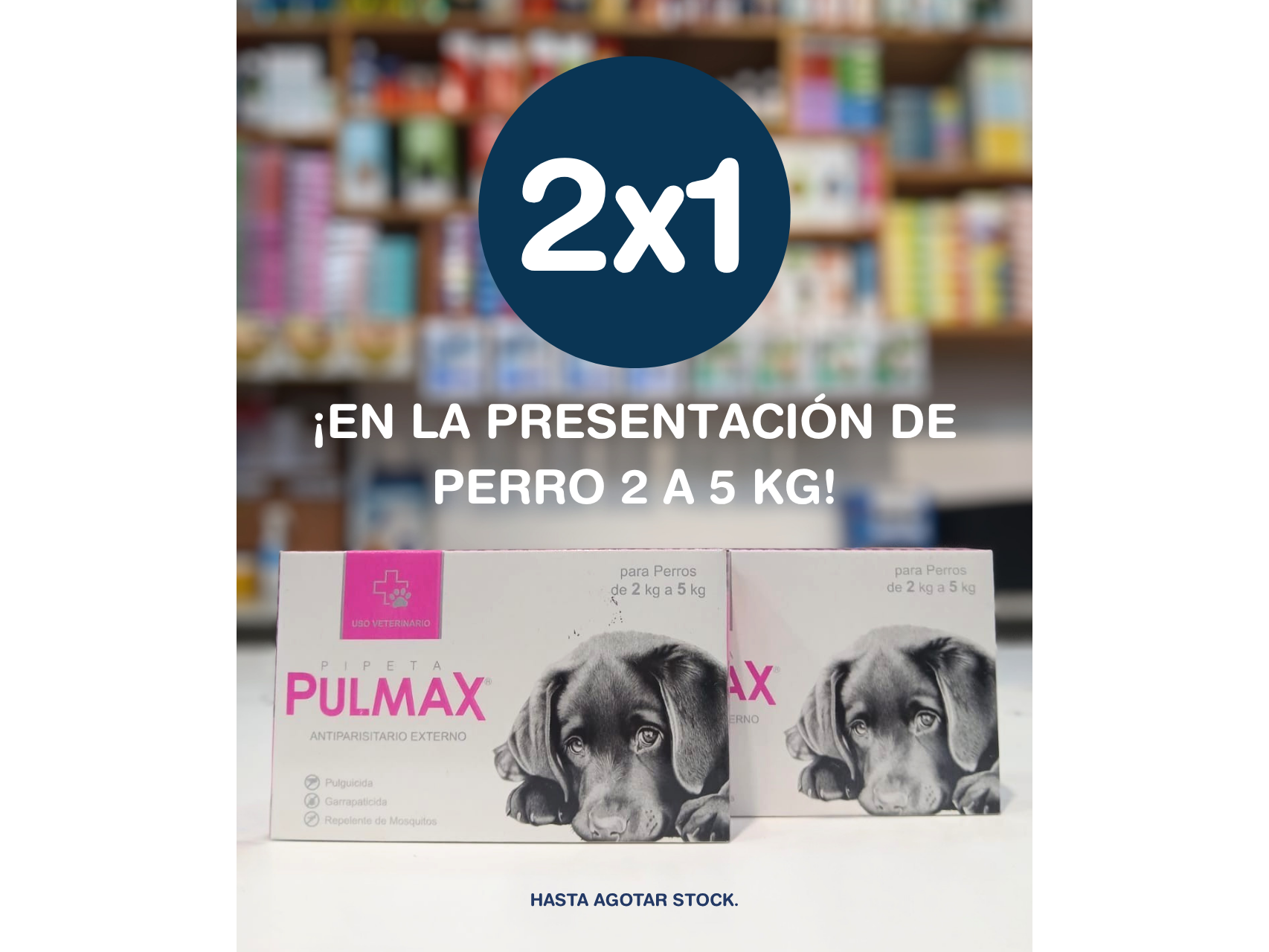 2x1 PULMAX DE 2 A 5 KG