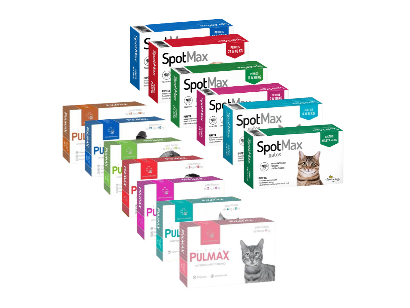 PIPETAS PULMAX/SPOTMAX