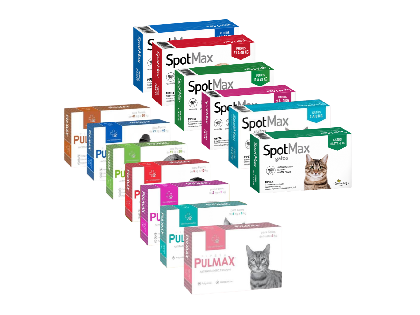 PIPETAS PULMAX/SPOTMAX