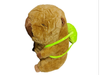 Peluche capibara c/manta y mochila de tenis