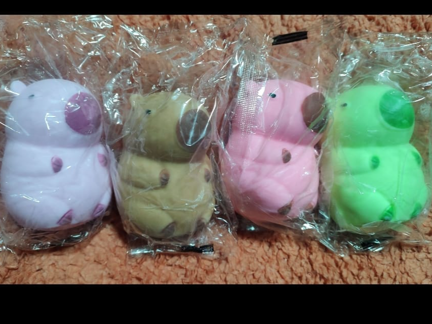 Squishi capibara de colores