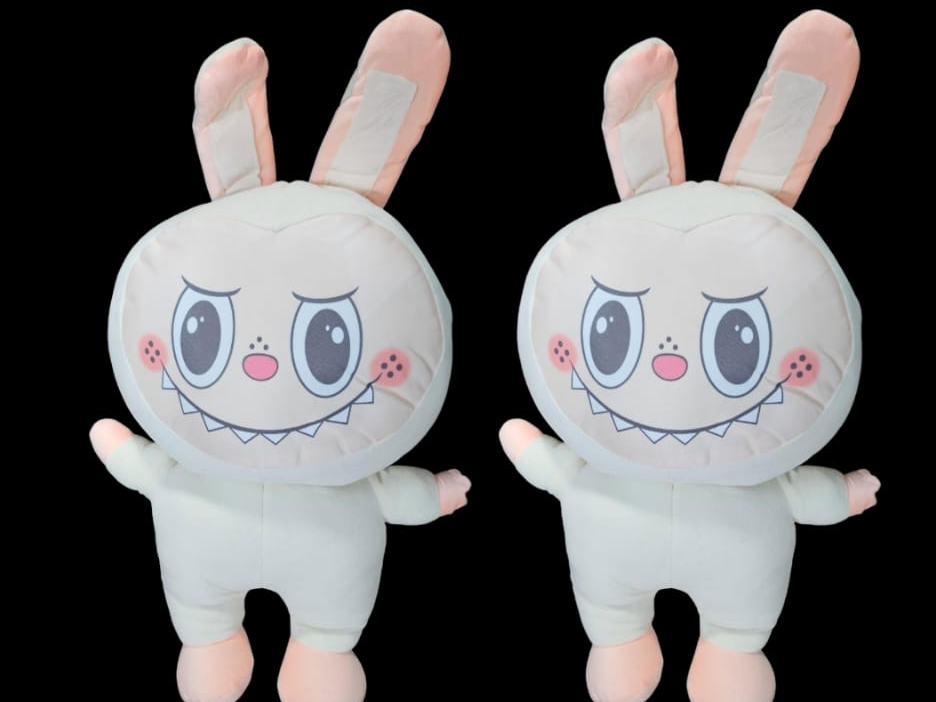 Peluche labubu con manta