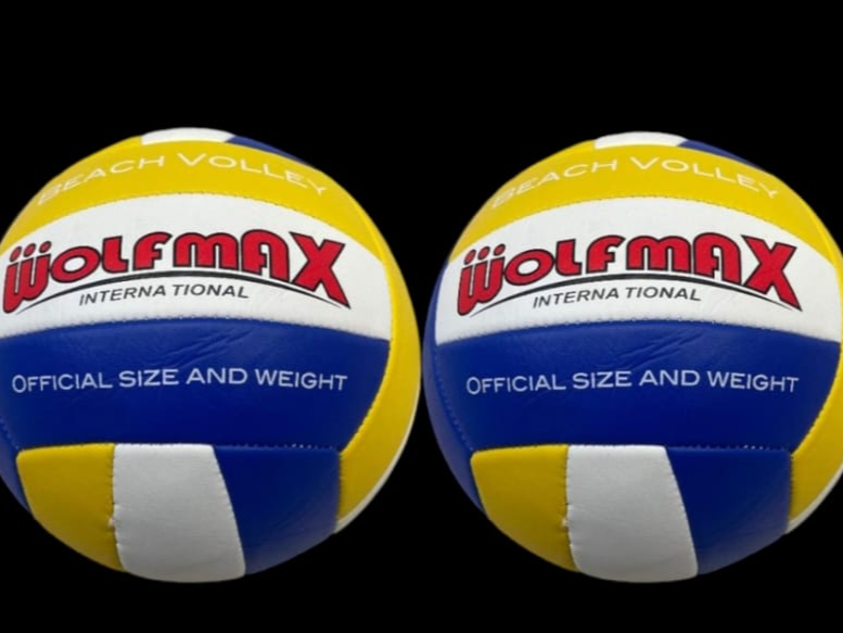 Pelota de voley,